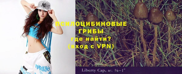 гидропоника Балабаново